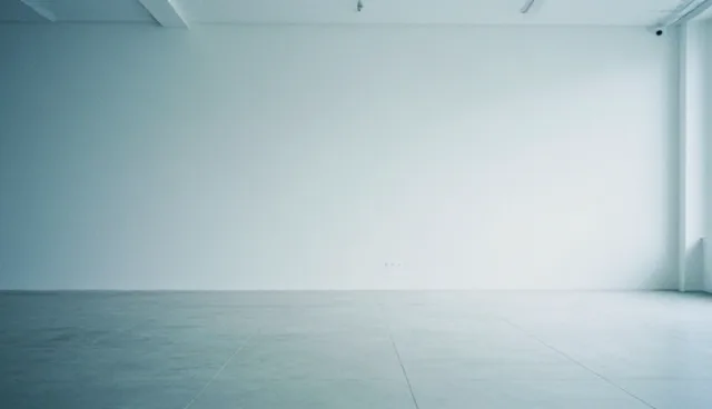 项目评估：维护问题对业务发展趋势的影响分析